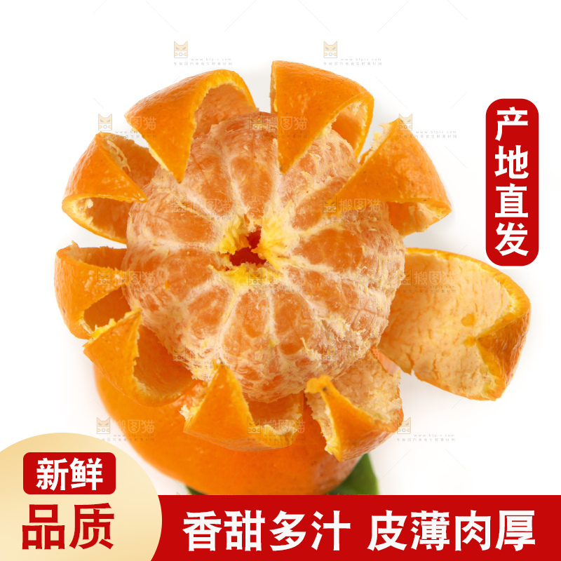 白底上的椪柑橘