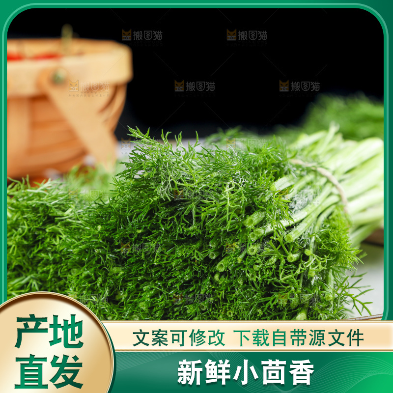 盘子里装着农家茴香菜