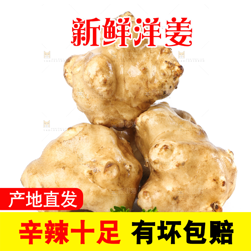 白底上的陕北高原洋姜