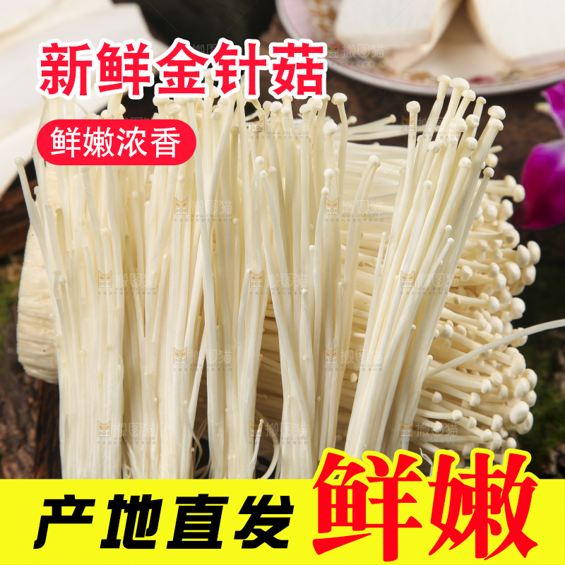 木底上的冬菇