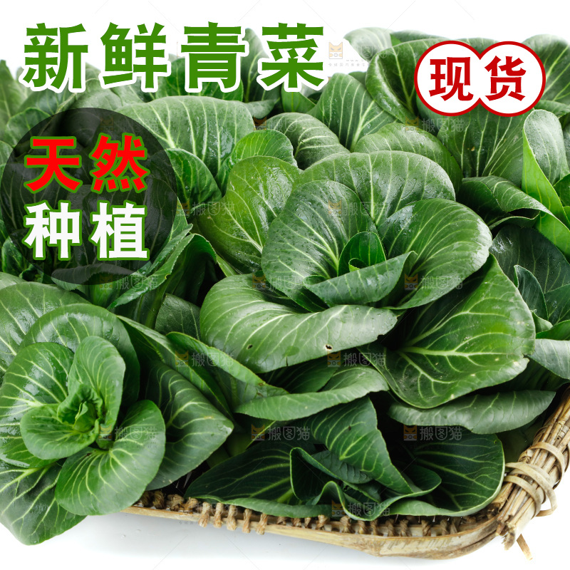 白底上的绿叶菜