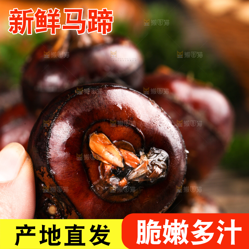 竹垫子上放着广西马蹄