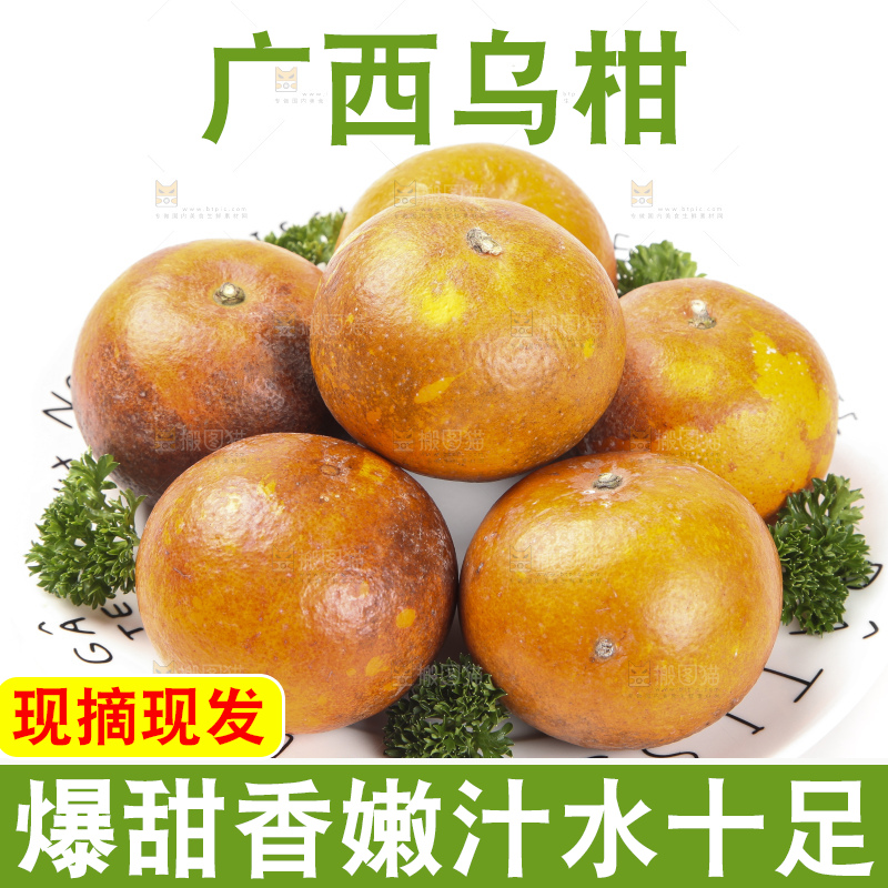 白底上放着新鲜乌柑