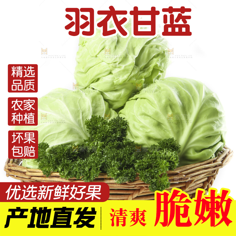 篮子里装着绿甘蓝