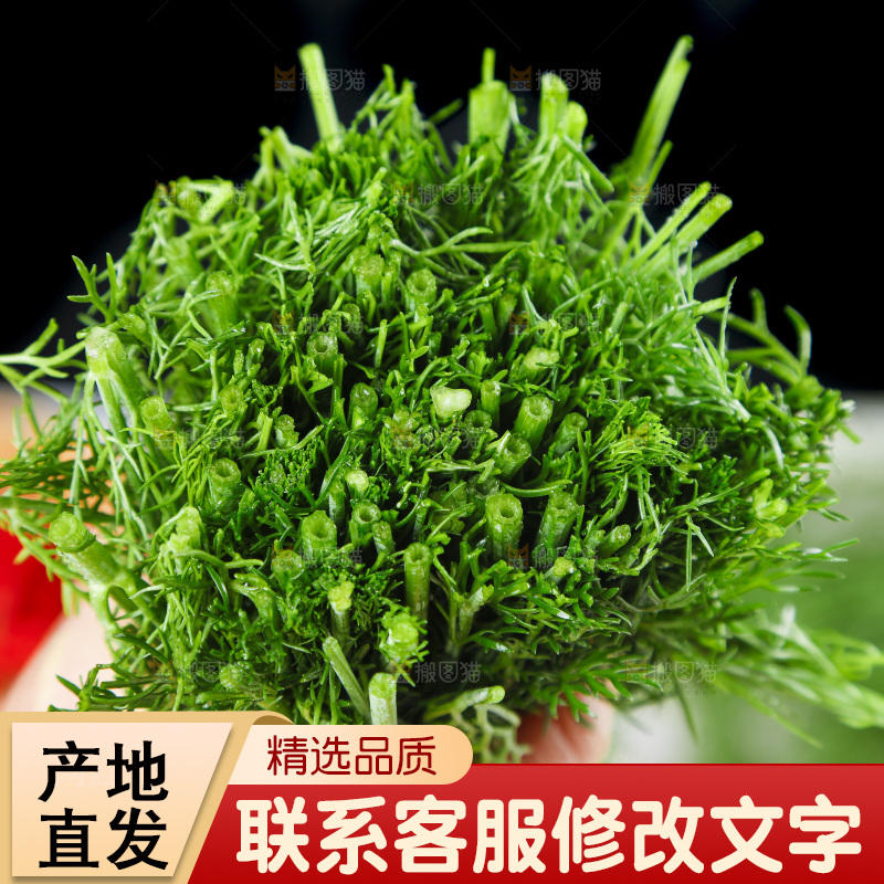 盘子里的云南小茴香菜