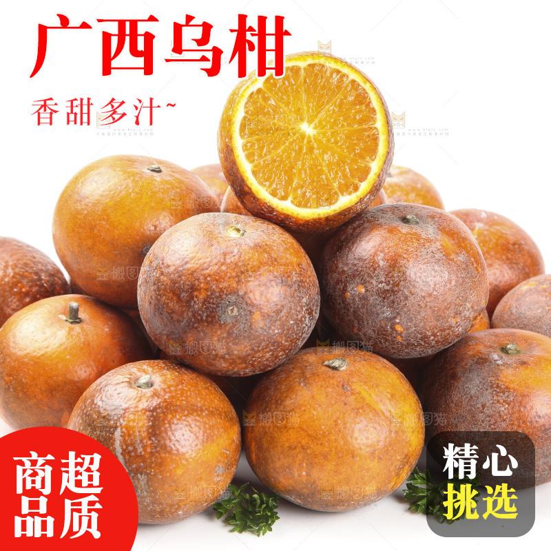 白底上摆放着乌柑
