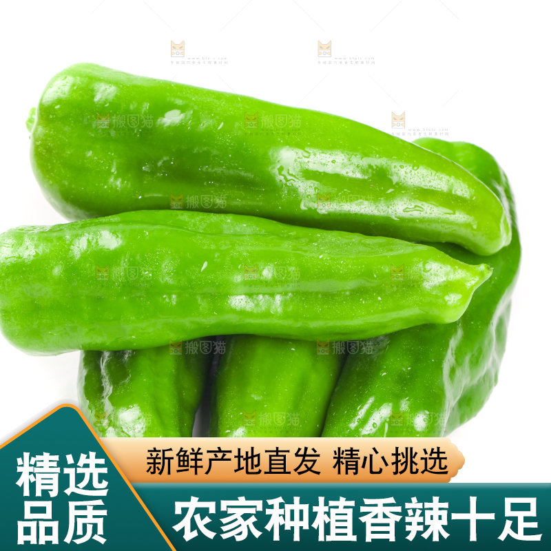 白底上摆放着农家青椒