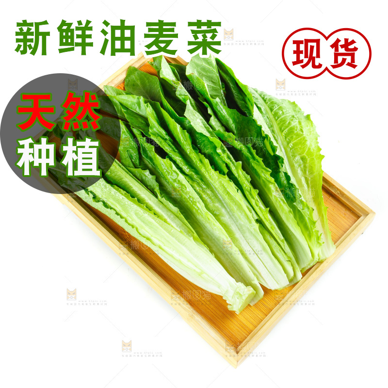 白底上放着油麦菜