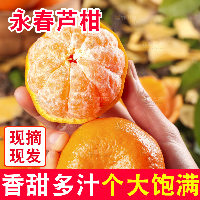 手里拿着椪柑橘