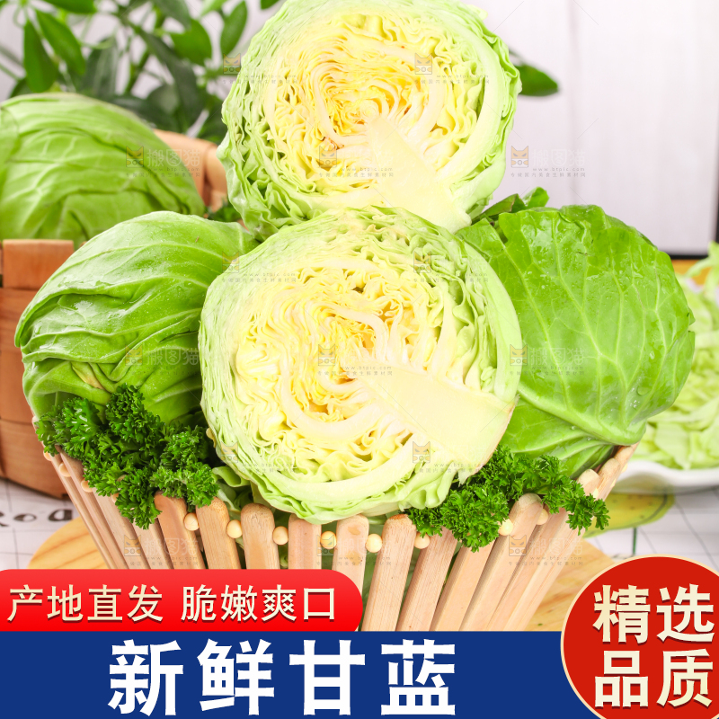 篮子里装着甘蓝包菜