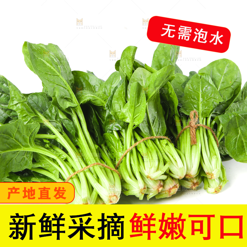 白底上的大叶菠菜