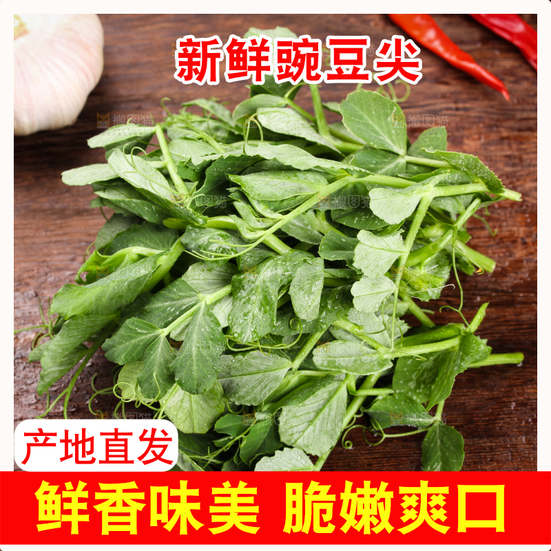 深底上的四川豌豆尖