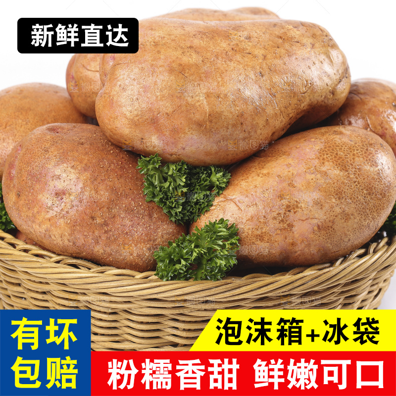 篮子里装着新鲜土豆