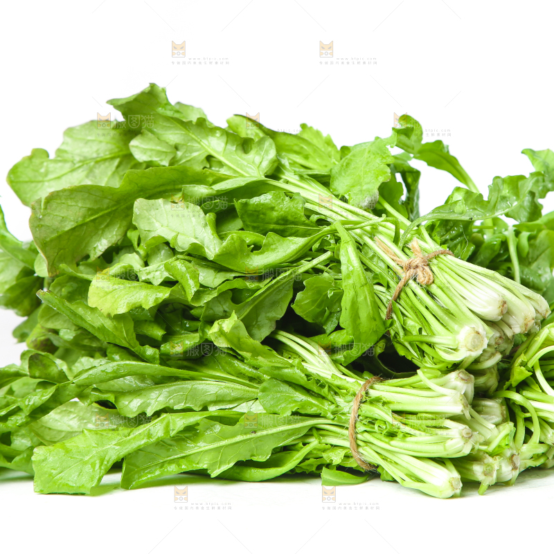 白底上的地菜