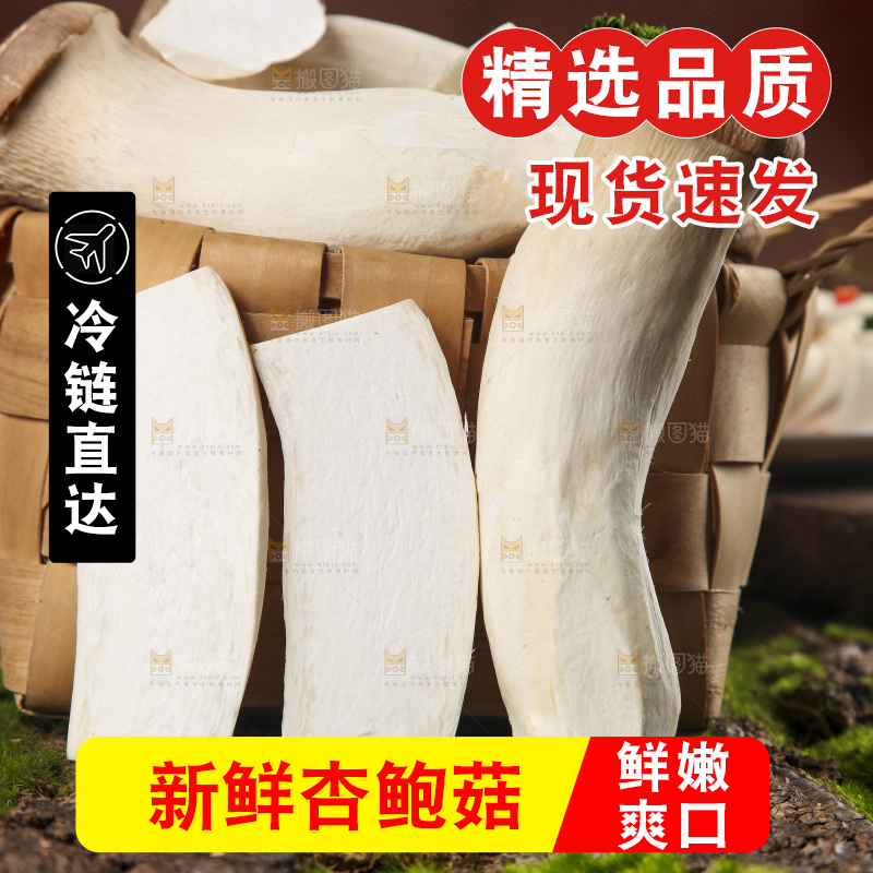 篮子里放着大鸡腿菇