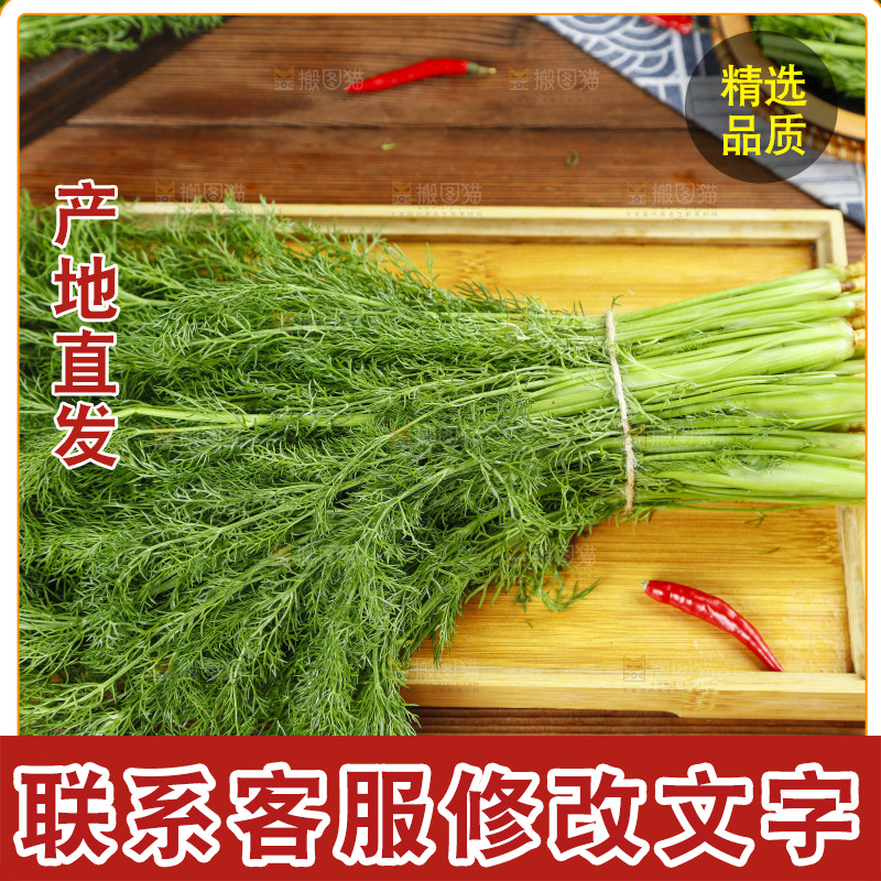 木板上的土茴香