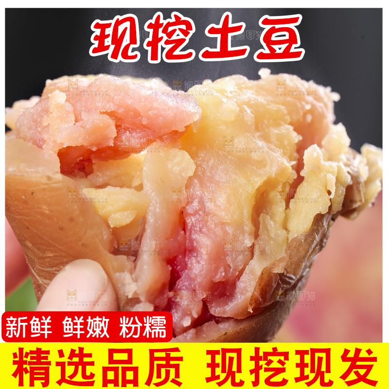 手里拿着彩色土豆