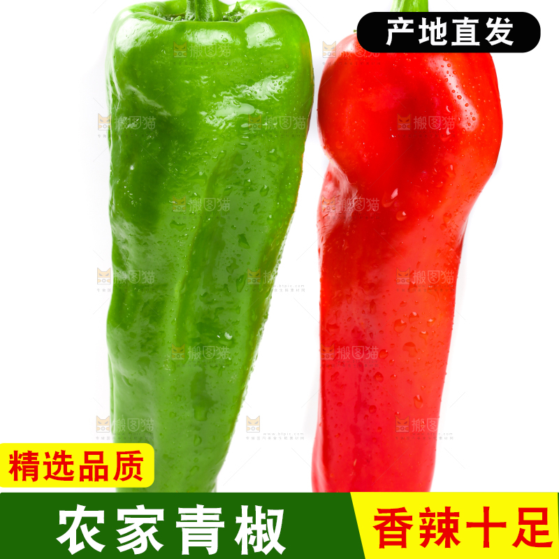 白底上摆放着农家青椒