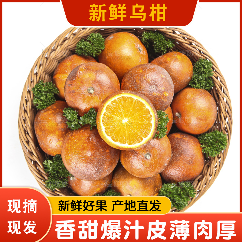 篮子里的广西乌柑