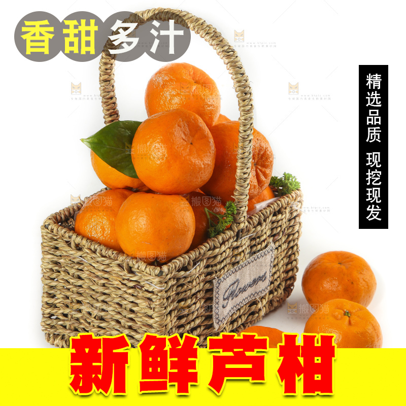 篮子里装着新鲜芦柑