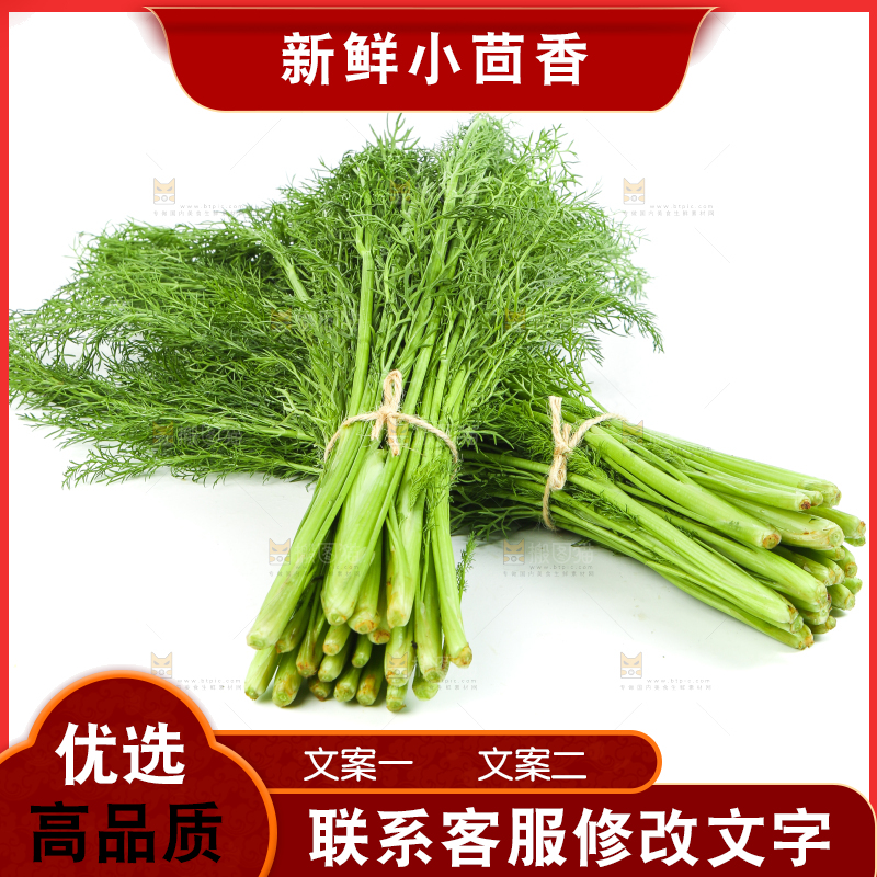 白底上放着小茴香