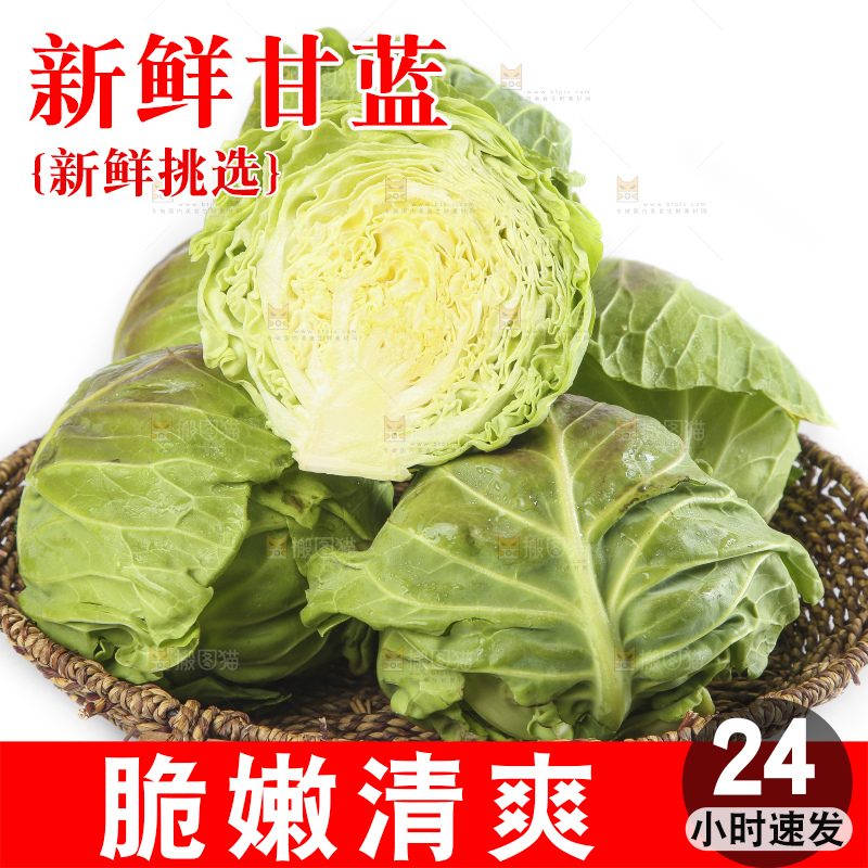 篮子里装着洋白菜