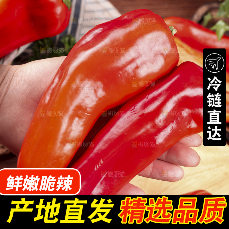 手里拿着新鲜红辣椒