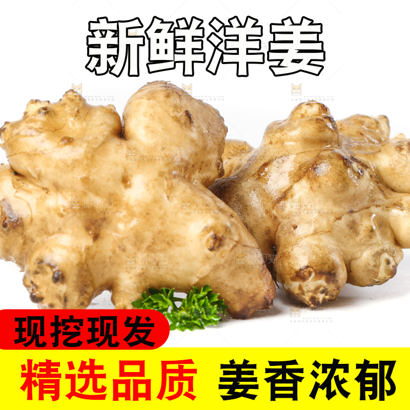 白底上的陕北高原洋姜