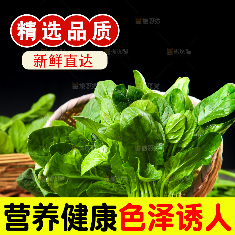 篮子里的红根菠菜