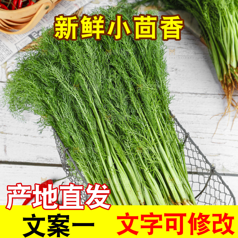 木底上的小茴香菜