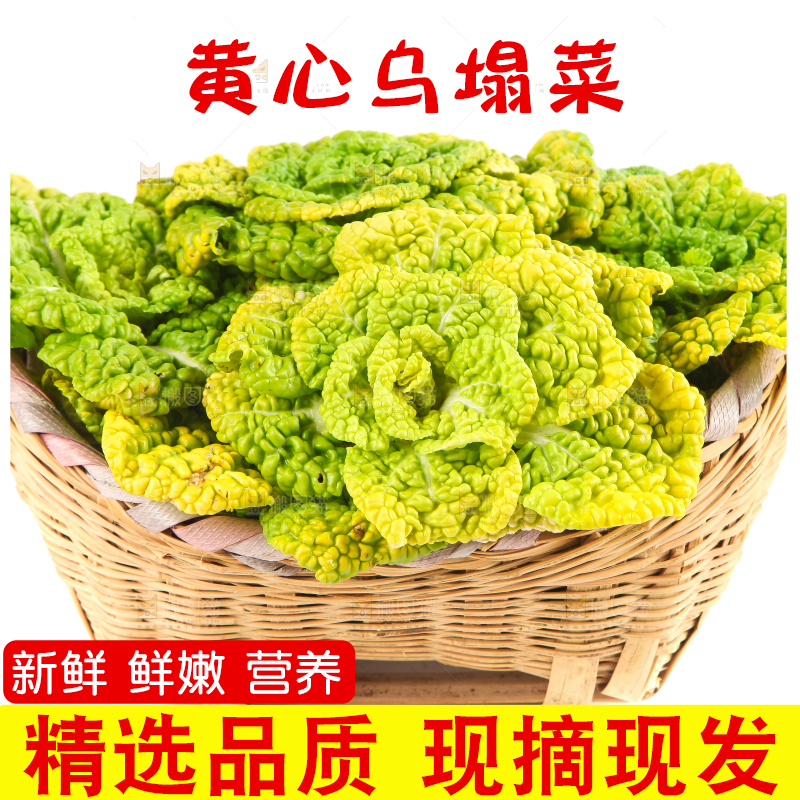篮子里装着乌塌菜