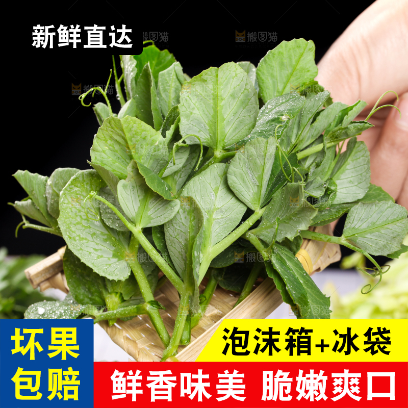 手里拿着豌豆苗