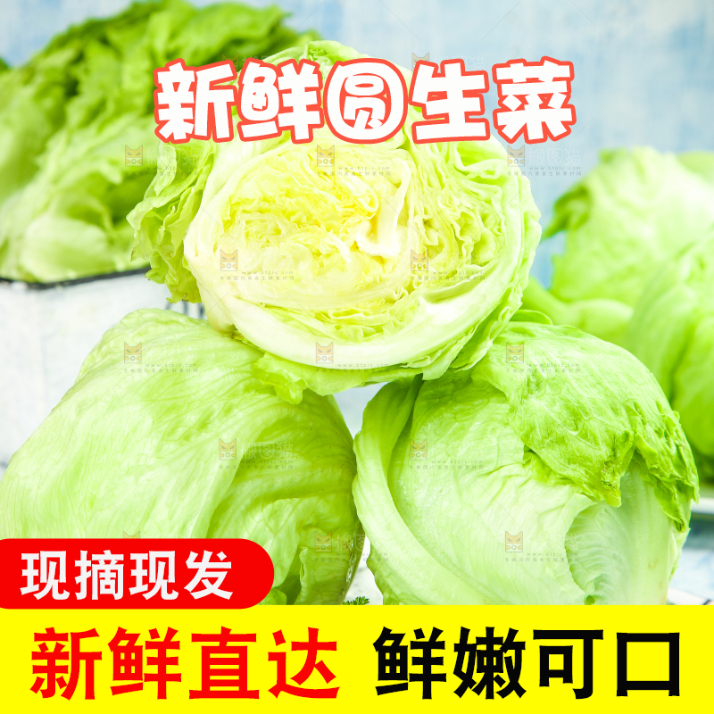 盘子里装着球生菜