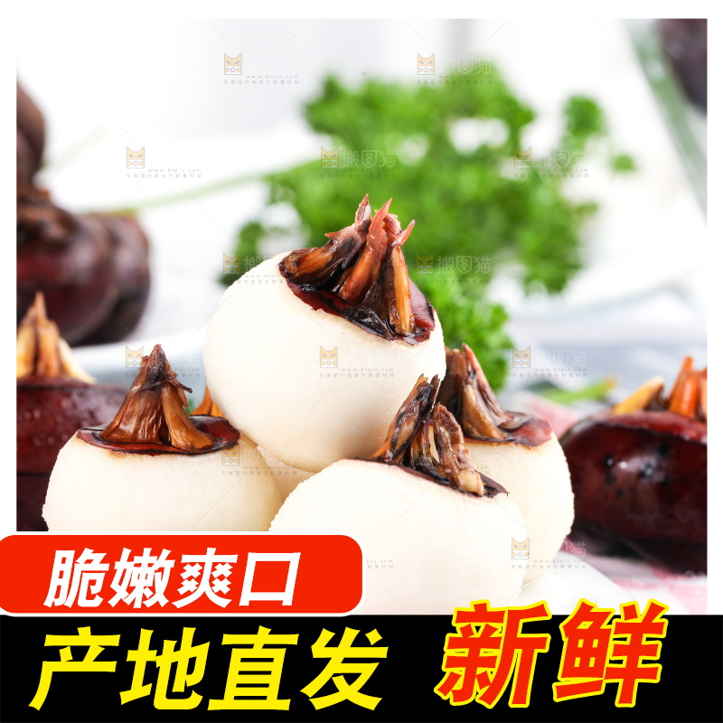 彩底上放着红马蹄