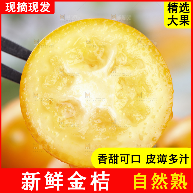 叉子上叉着广西金桔