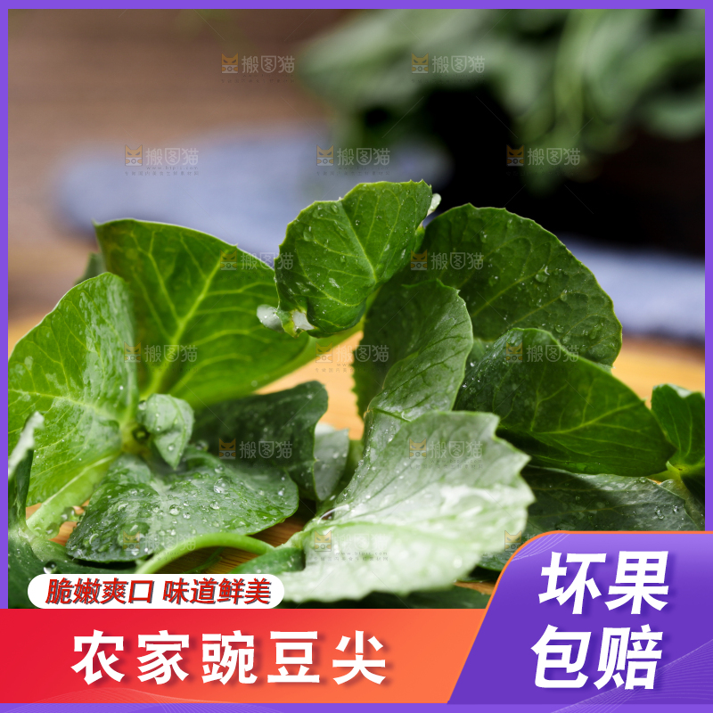 深底上的四川豌豆尖