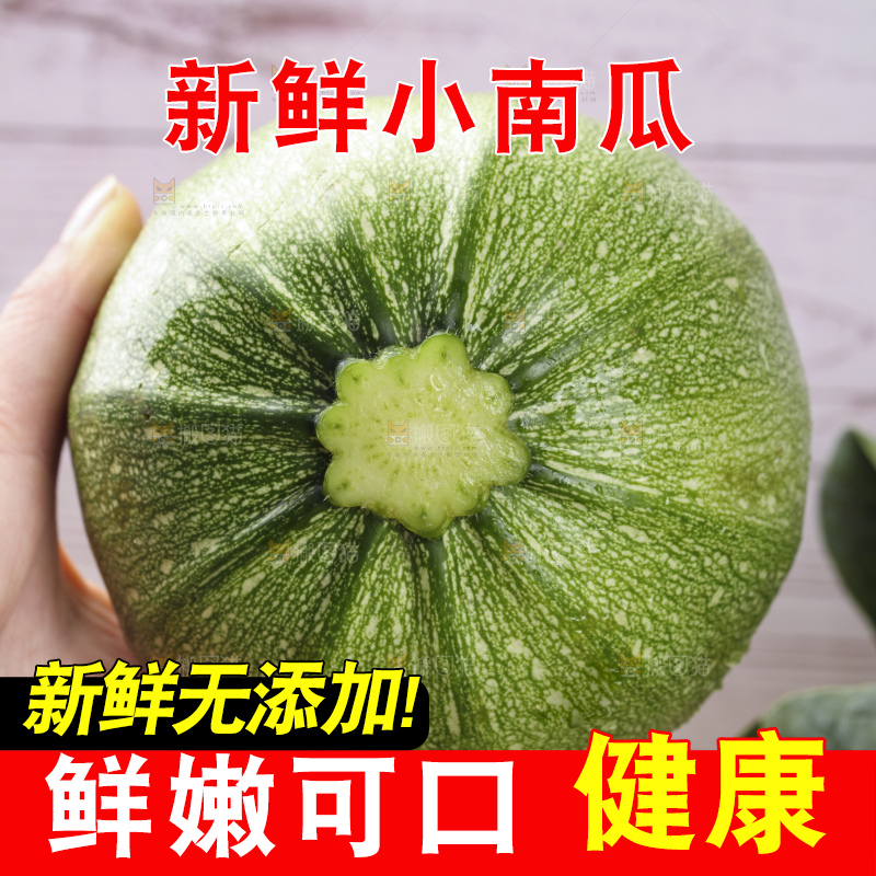 手里拿着青皮小南瓜