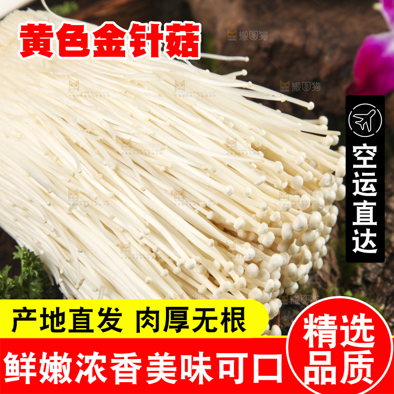 木底上的冬菇