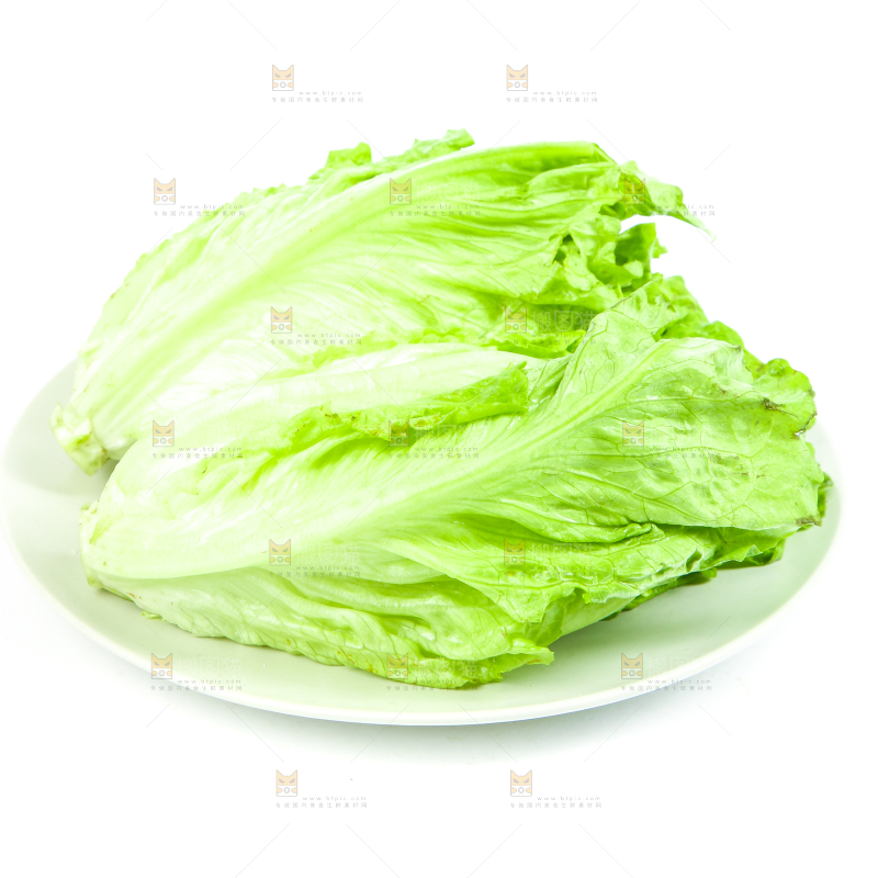 盘子里装着大叶生菜