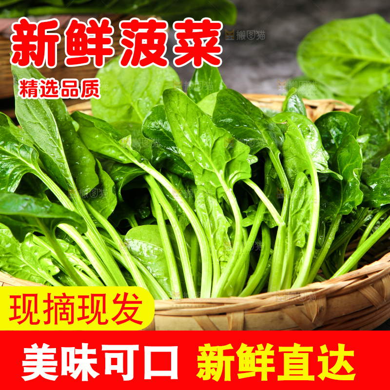 篮子里的红根菠菜
