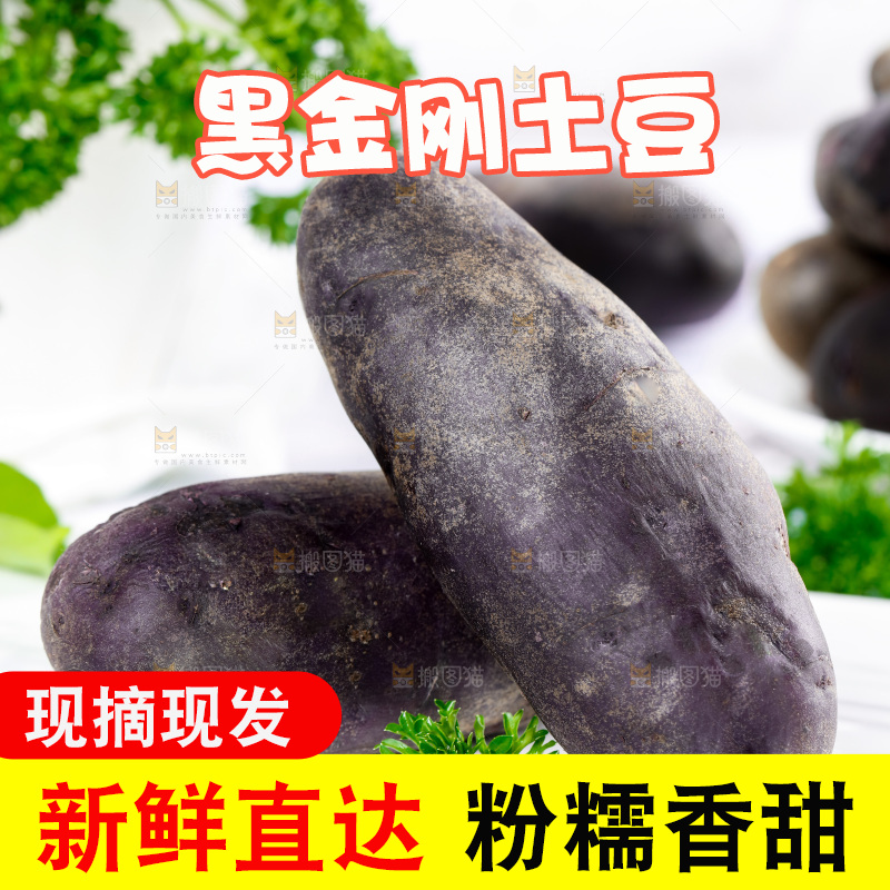 石板上的花青素紫土豆
