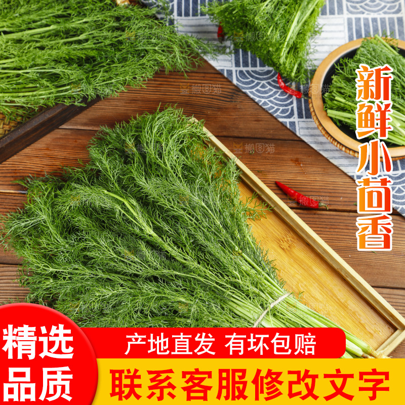 木板上的土茴香