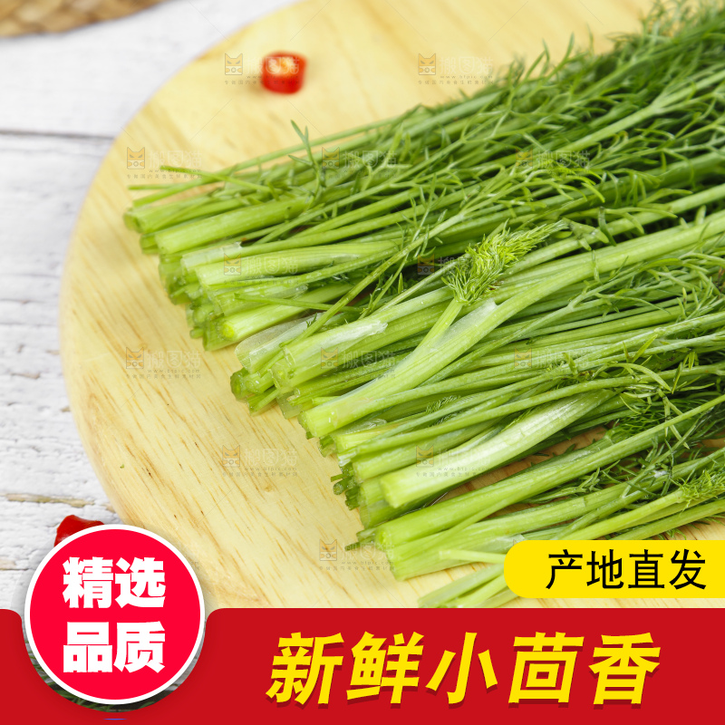 木板上的云南小茴香菜