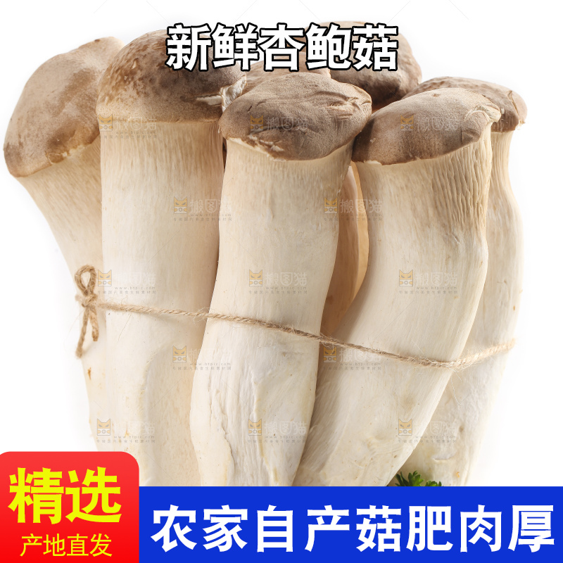 白底上放着大鸡腿菇
