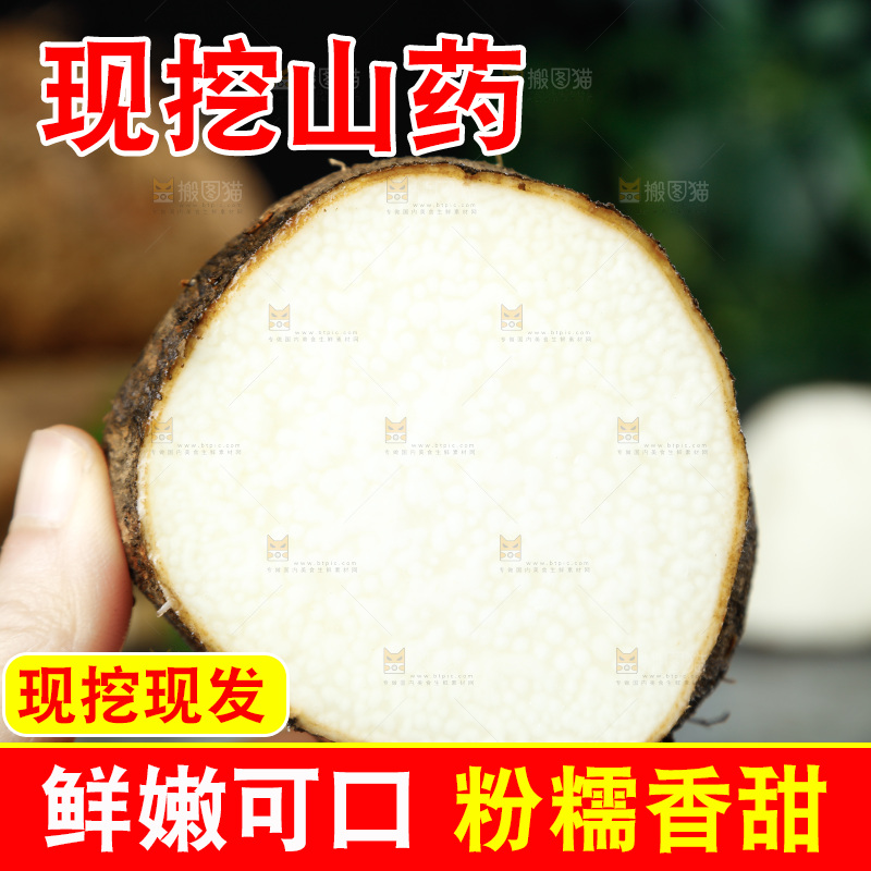 黑底上的金秤砣山药