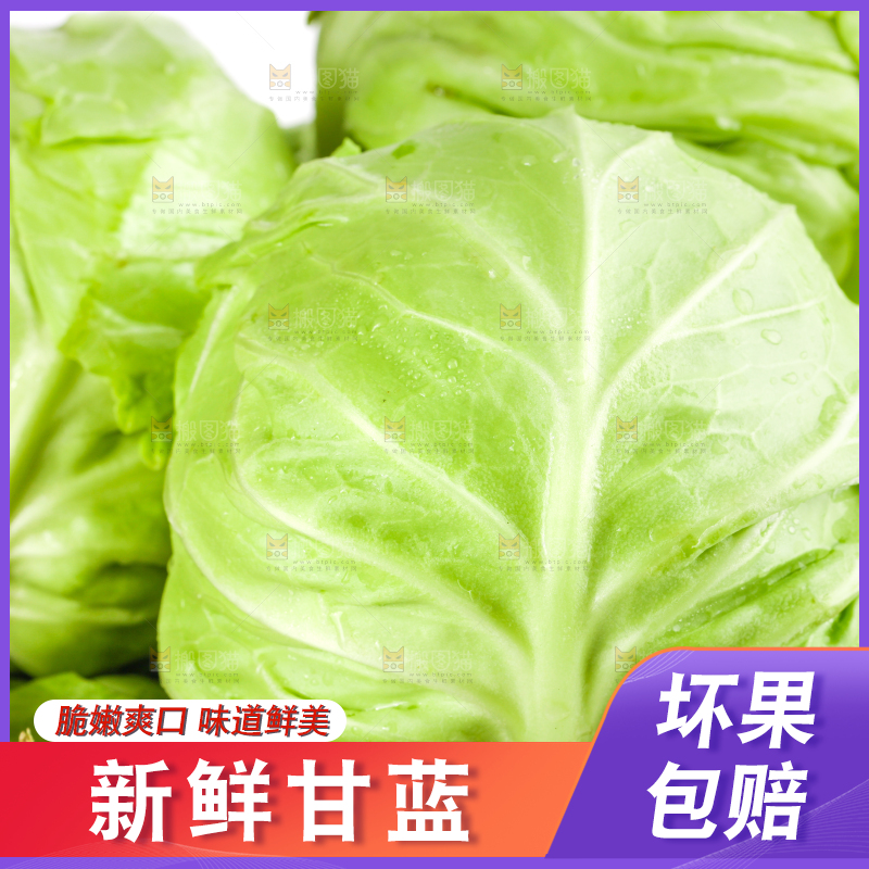 篮子里装绿甘蓝