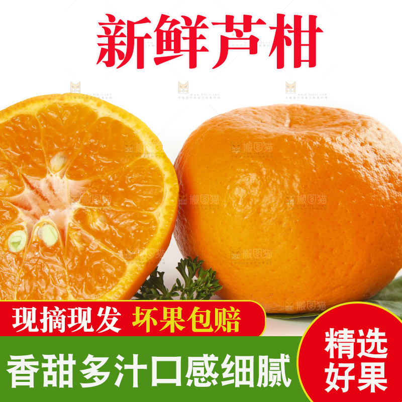 白底上的椪柑橘