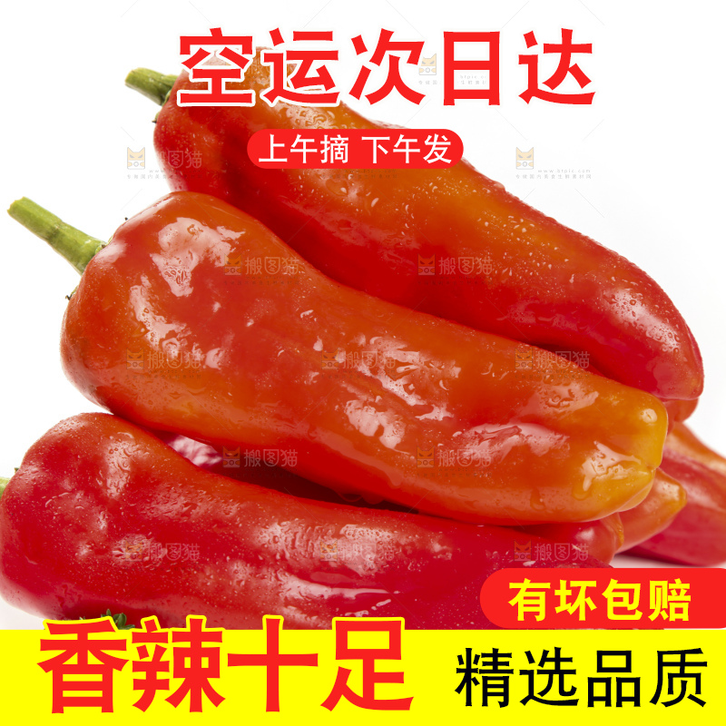 白底上放着红辣椒