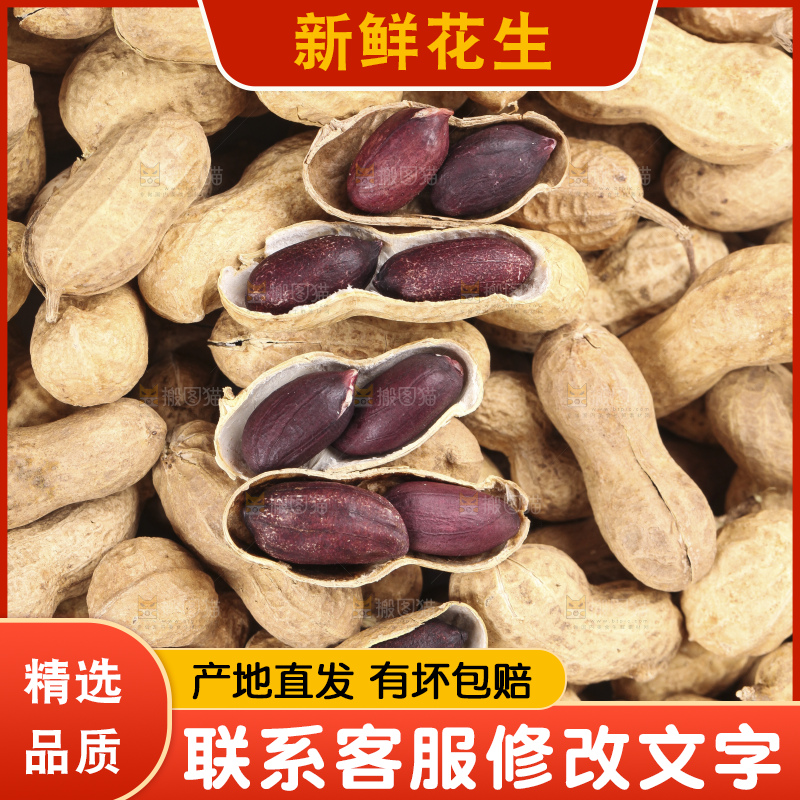 白底上放着红皮花生