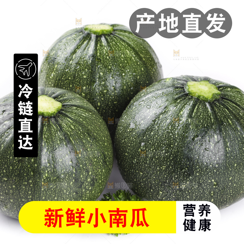 白底上摆放着花皮小南瓜